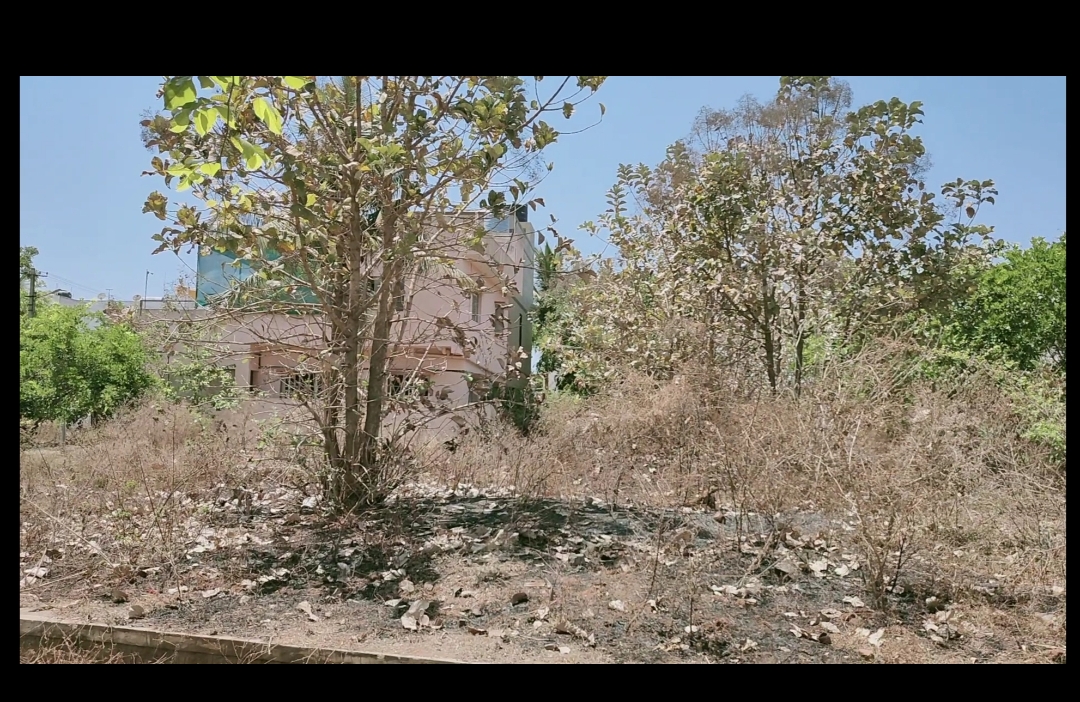 Screenshot_2021-04-08-11-11-58-92.jpg